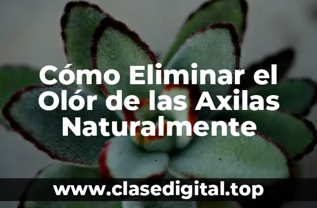 Cómo Eliminar el Olór de las Axilas Naturalmente