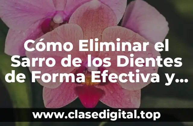 Cómo Eliminar el Sarro de los Dientes de Forma Efectiva y Segura