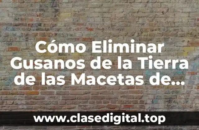 Cómo Eliminar Gusanos de la Tierra de las Macetas de Forma Efectiva