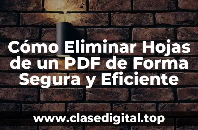 Cómo Eliminar Hojas de un PDF de Forma Segura y Eficiente