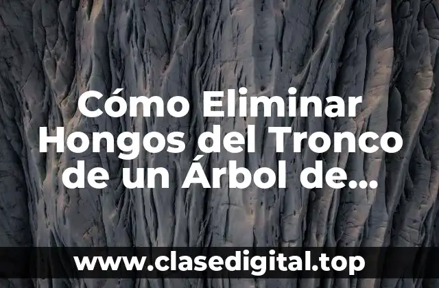 Causas de la Infestación de Hongos en el Tronco de un Árbol