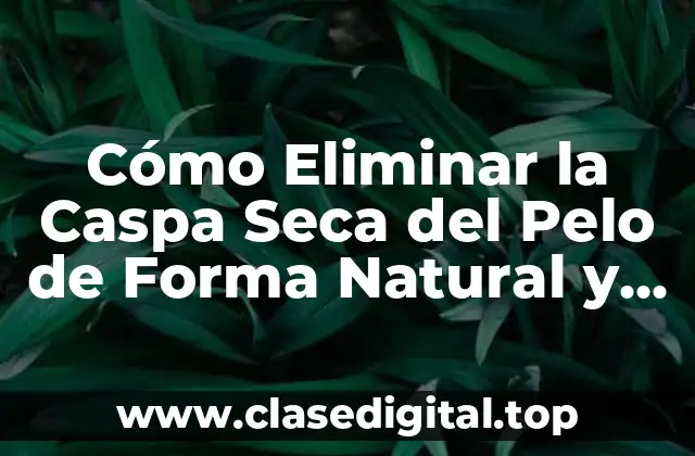 Cómo Eliminar la Caspa Seca del Pelo de Forma Natural y Permanente