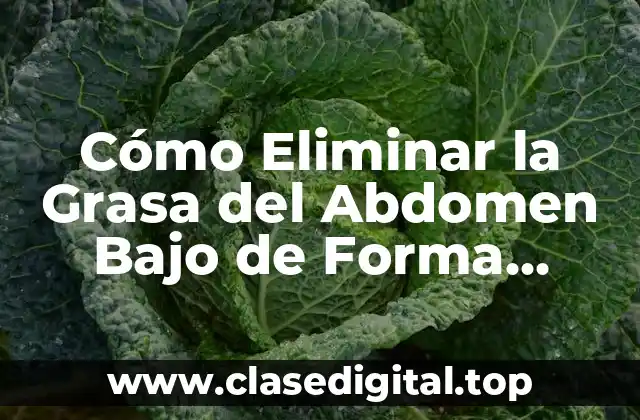 Causas de la Grasa del Abdomen Bajo