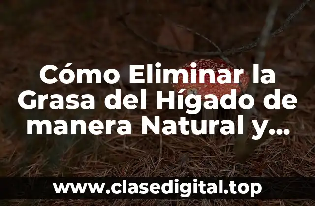 Causas de la Grasa en el Hígado