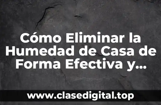 Cómo Eliminar la Humedad de Casa de Forma Efectiva y Permanente