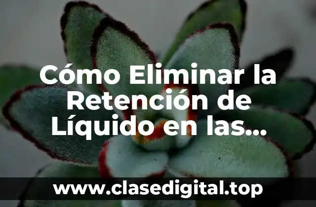 Cómo Eliminar la Retención de Líquido en las Piernas de Forma Natural y Efectiva