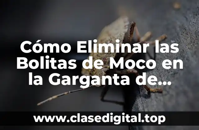 Cómo Eliminar las Bolitas de Moco en la Garganta de Forma Natural