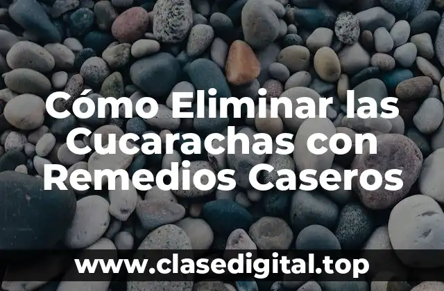 Cómo Eliminar las Cucarachas con Remedios Caseros