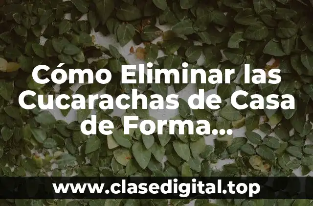 Cómo Eliminar las Cucarachas de Casa de Forma Permanente