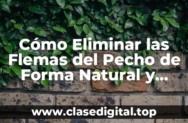 Cómo Eliminar las Flemas del Pecho de Forma Natural y Segura