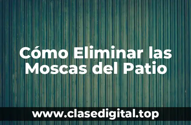 Cómo Eliminar las Moscas del Patio