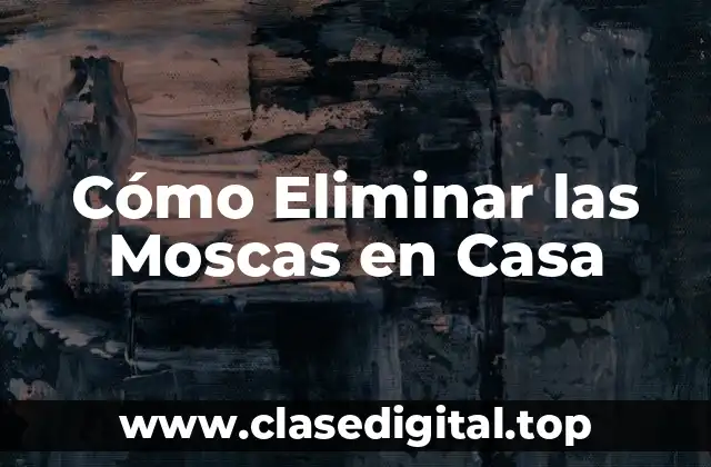 Cómo Eliminar las Moscas en Casa