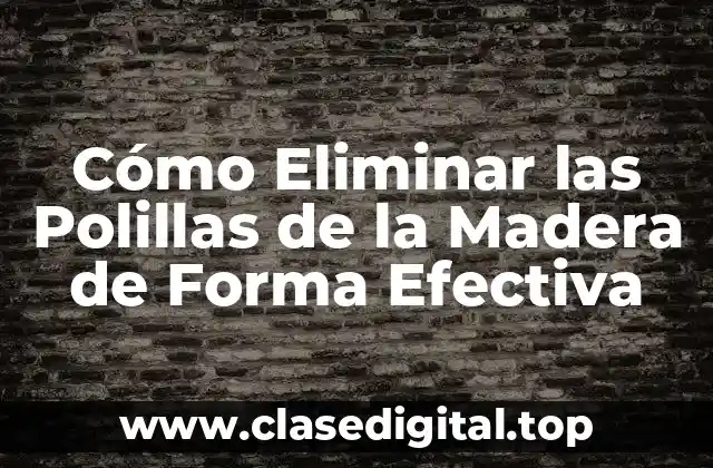 Causas de la Infestación de Polillas de la Madera