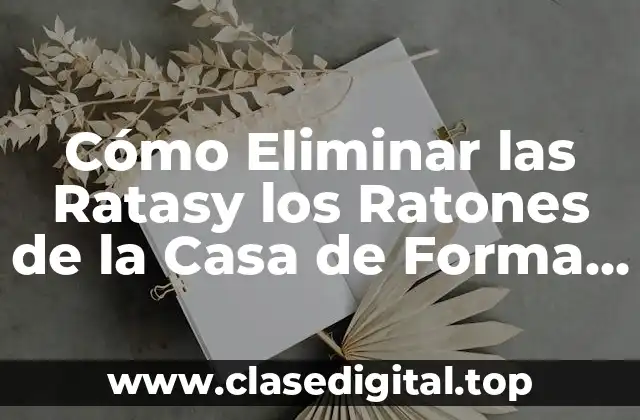 Cómo Eliminar las Ratasy los Ratones de la Casa de Forma Permanente