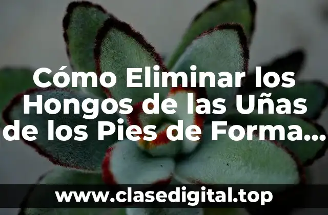 ¿Cuáles son las Causas de los Hongos en las Uñas de los Pies?