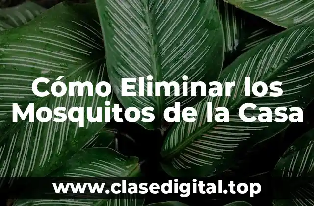Cómo Eliminar los Mosquitos de la Casa
