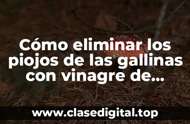 Cómo eliminar los piojos de las gallinas con vinagre de manzana