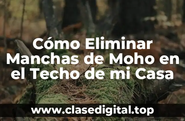 Cómo Eliminar Manchas de Moho en el Techo de mi Casa