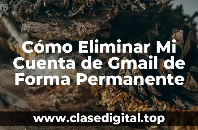 Cómo Eliminar Mi Cuenta de Gmail de Forma Permanente