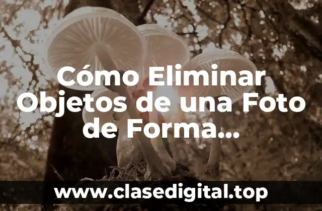 Cómo Eliminar Objetos de una Foto de Forma Profesional