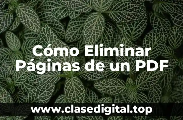 Cómo Eliminar Páginas de un PDF
