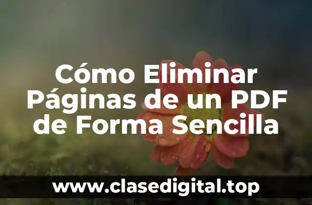 Cómo Eliminar Páginas de un PDF de Forma Sencilla