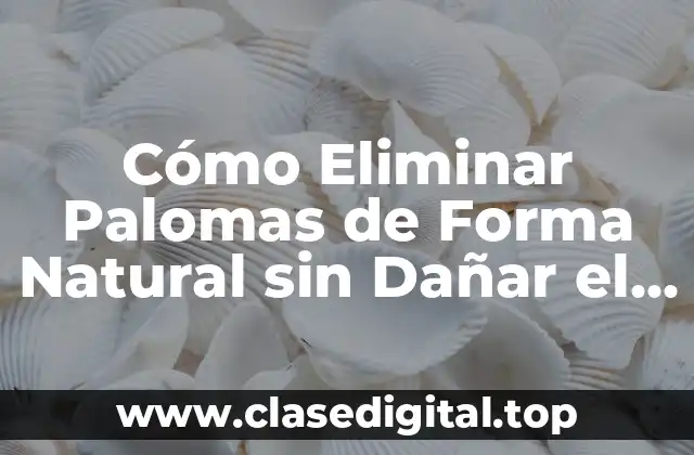 Cómo Eliminar Palomas de Forma Natural sin Dañar el Medio Ambiente