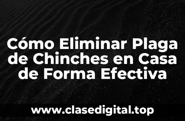 ¿Cuáles son los Síntomas de una Plaga de Chinches en Casa?