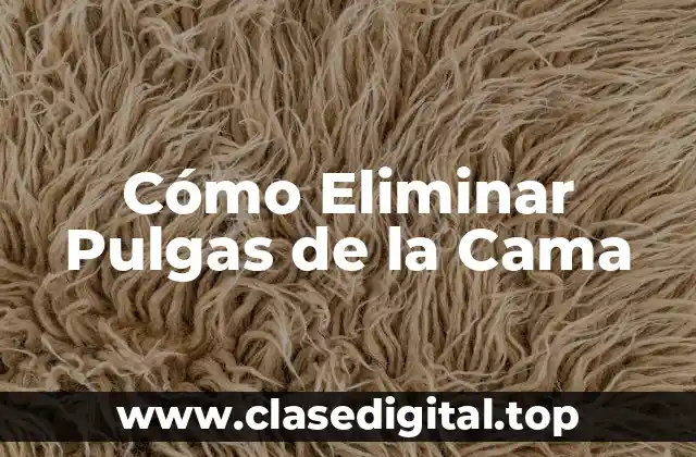 Cómo Eliminar Pulgas de la Cama