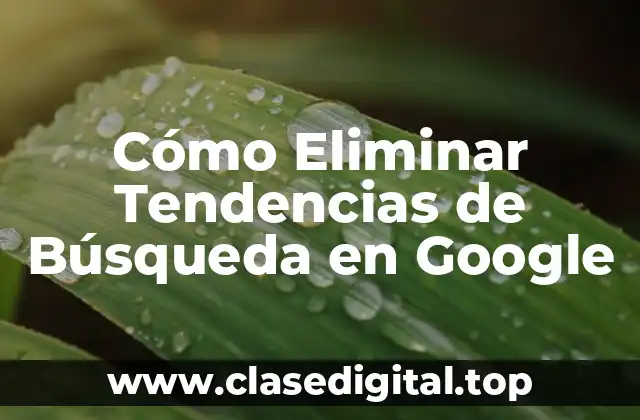 Cómo Eliminar Tendencias de Búsqueda en Google