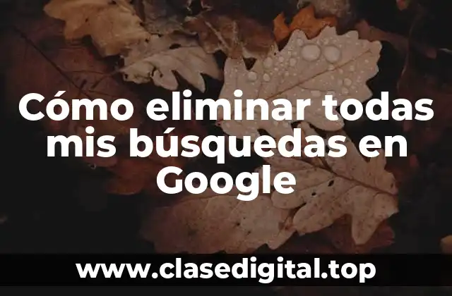 Cómo eliminar todas mis búsquedas en Google