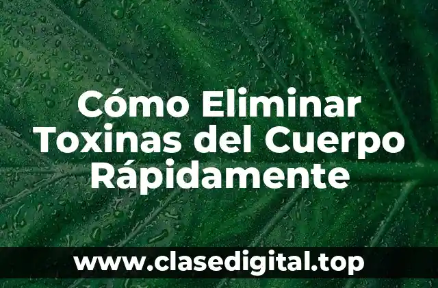 Cómo Eliminar Toxinas del Cuerpo Rápidamente