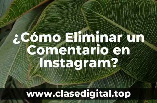 ¿Cómo Eliminar un Comentario en Instagram?