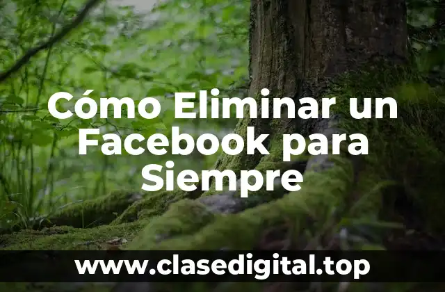 Cómo Eliminar un Facebook para Siempre