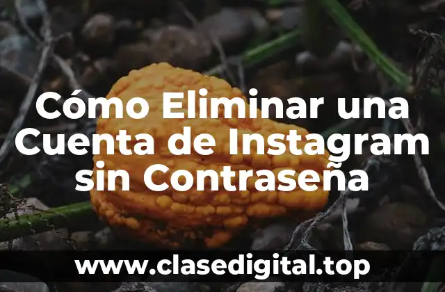 Cómo Eliminar una Cuenta de Instagram sin Contraseña