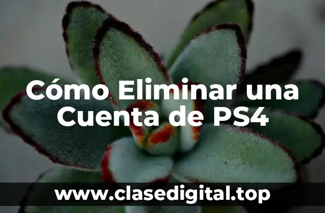 Cómo Eliminar una Cuenta de PS4