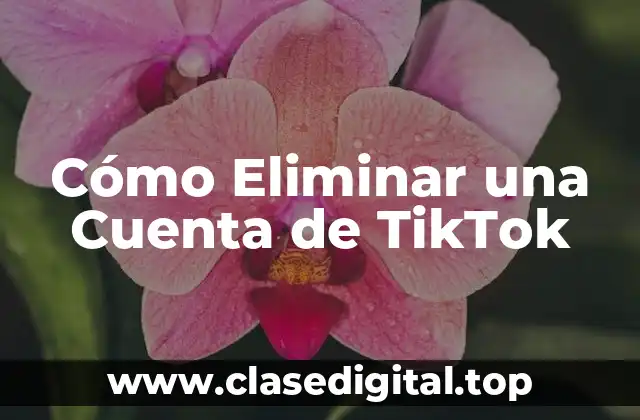 Razones para Eliminar una Cuenta de TikTok