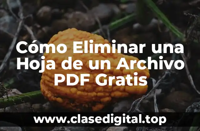 Cómo Eliminar una Hoja de un Archivo PDF Gratis