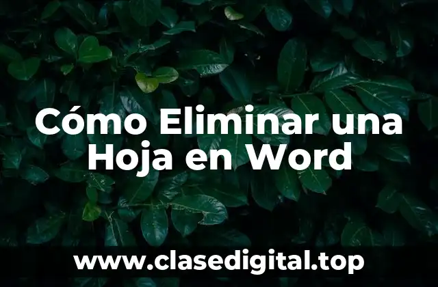 Cómo Eliminar una Hoja en Word
