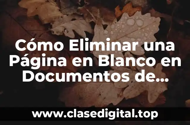 Cómo Eliminar una Página en Blanco en Documentos de Google
