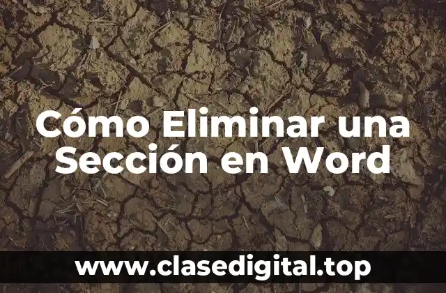 Cómo Eliminar una Sección en Word