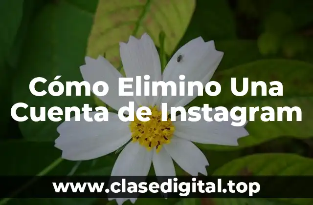 ¿Por qué Querrías Eliminar Tu Cuenta de Instagram?