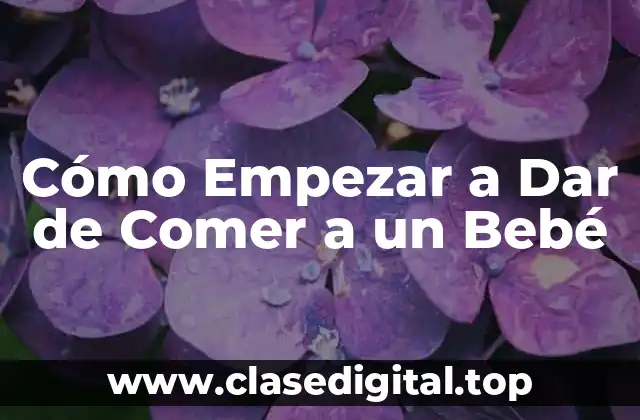 ¿Cuándo Debe Empezar a Comer un Bebé?