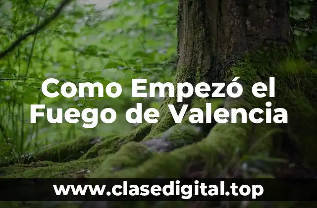 Como Empezó el Fuego de Valencia