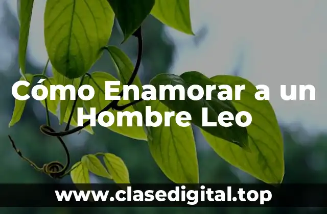 Características de un Hombre Leo que Debes Conocer
