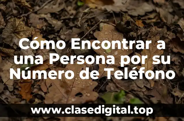 Cómo Encontrar a una Persona por su Número de Teléfono