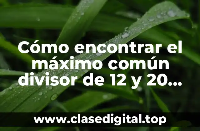 Definición y Importancia del Máximo Común Divisor