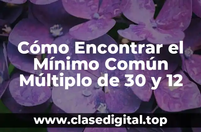Cómo Encontrar el Mínimo Común Múltiplo de 30 y 12