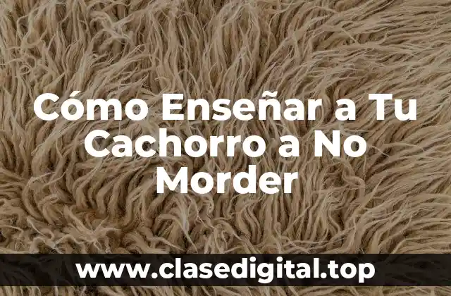 Cómo Enseñar a Tu Cachorro a No Morder
