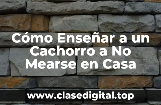 ¿Por qué es Importante Enseñar a tu Cachorro a No Mearse en Casa?